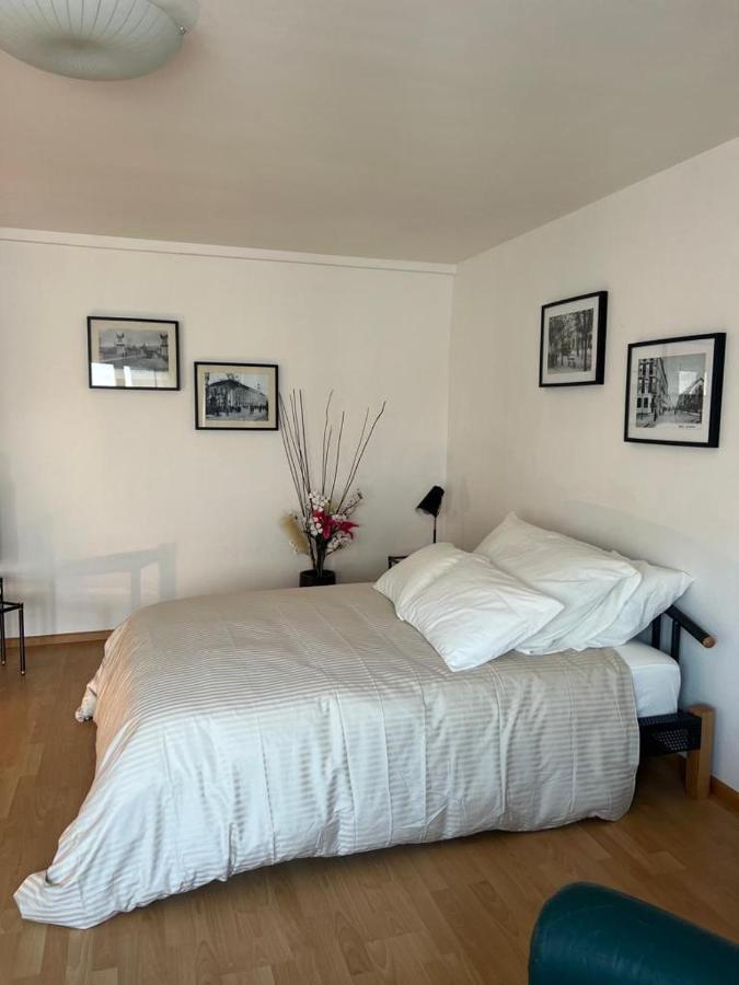 Schweiz Apartment Базел Екстериор снимка