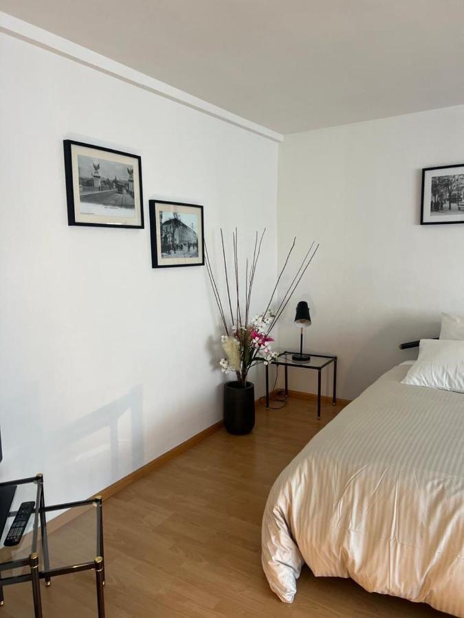 Schweiz Apartment Базел Екстериор снимка