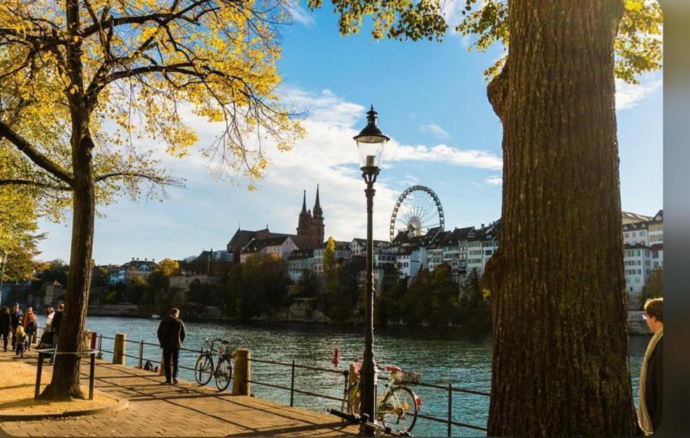 Schweiz Apartment Базел Екстериор снимка
