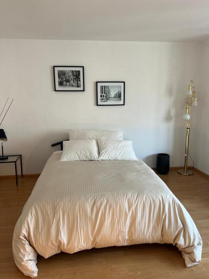 Schweiz Apartment Базел Екстериор снимка